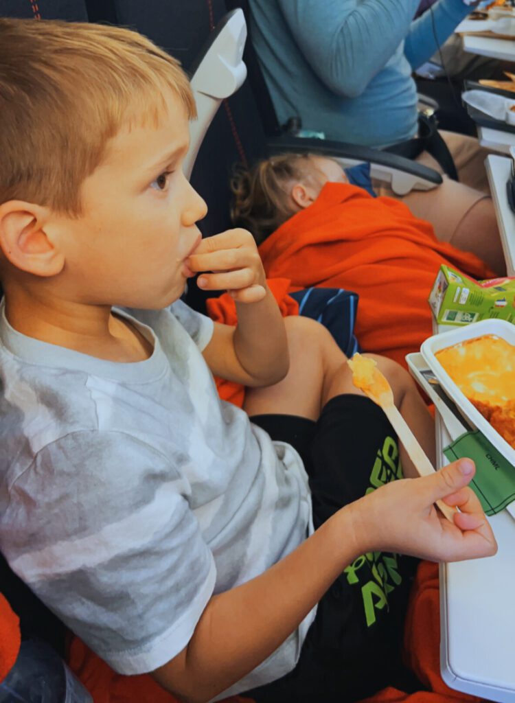 Toddler airplane snacks
