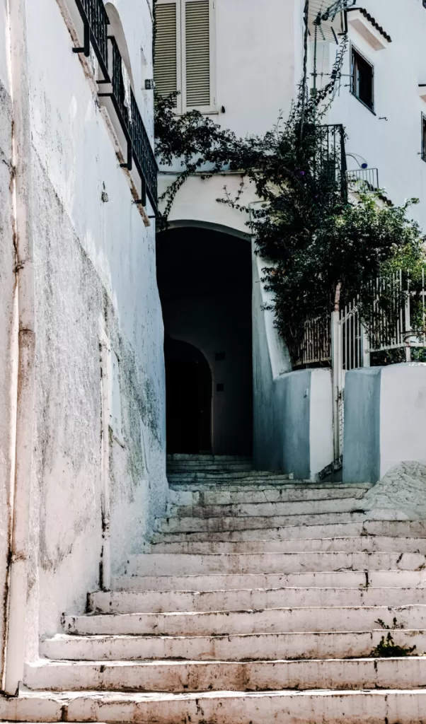 White washed building with steps and greenery leading up to a door