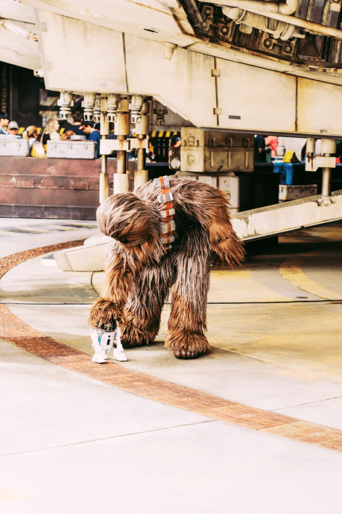 Chewy character at Hollywood studios Disney world with kids