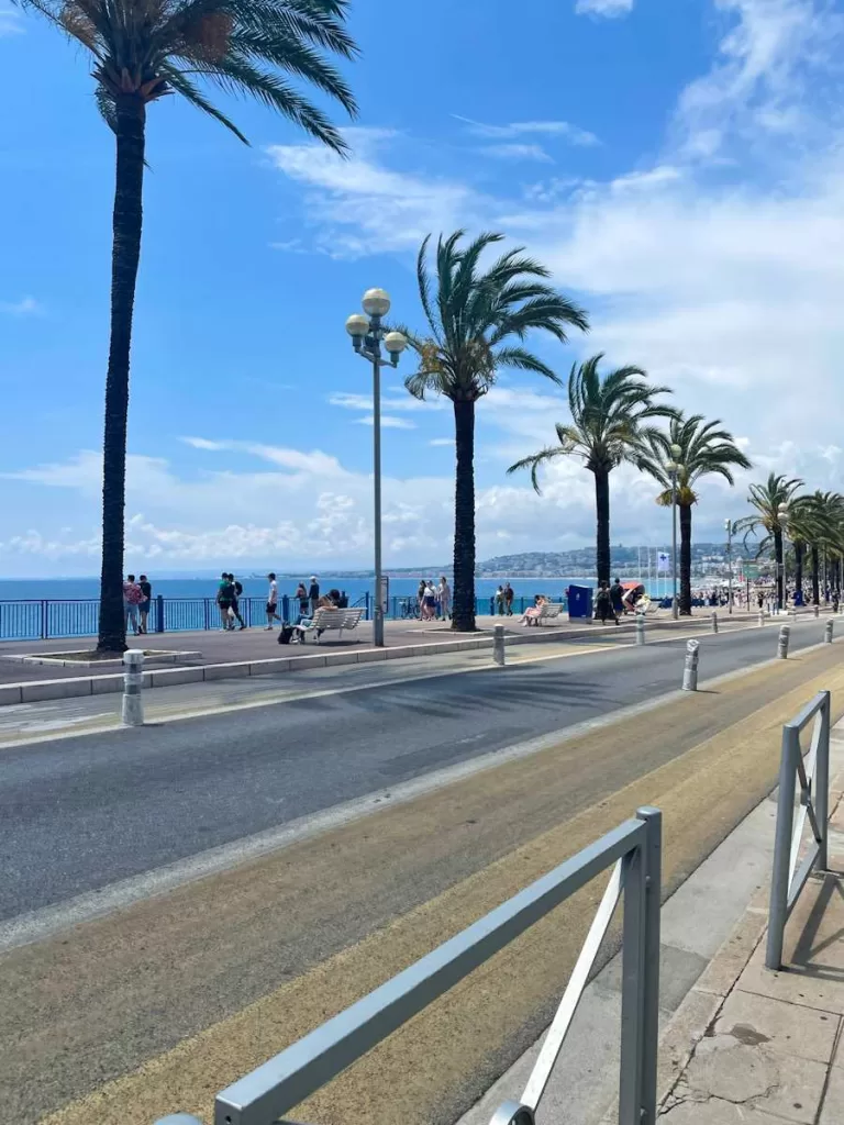 Palm trees along promenade.  Nice vs Monaco
