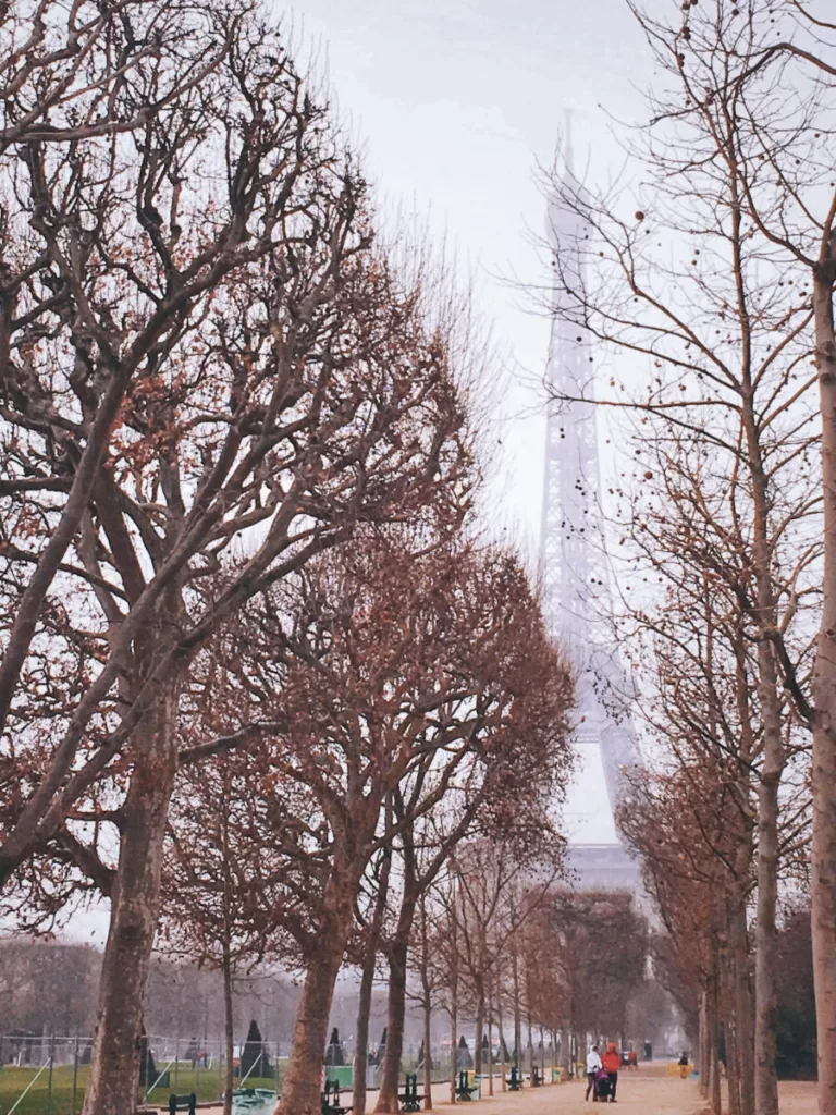 Eiffel tower in the background.  Sky is gray and trees are without leaves that line side walk.  Paris with kids in winter