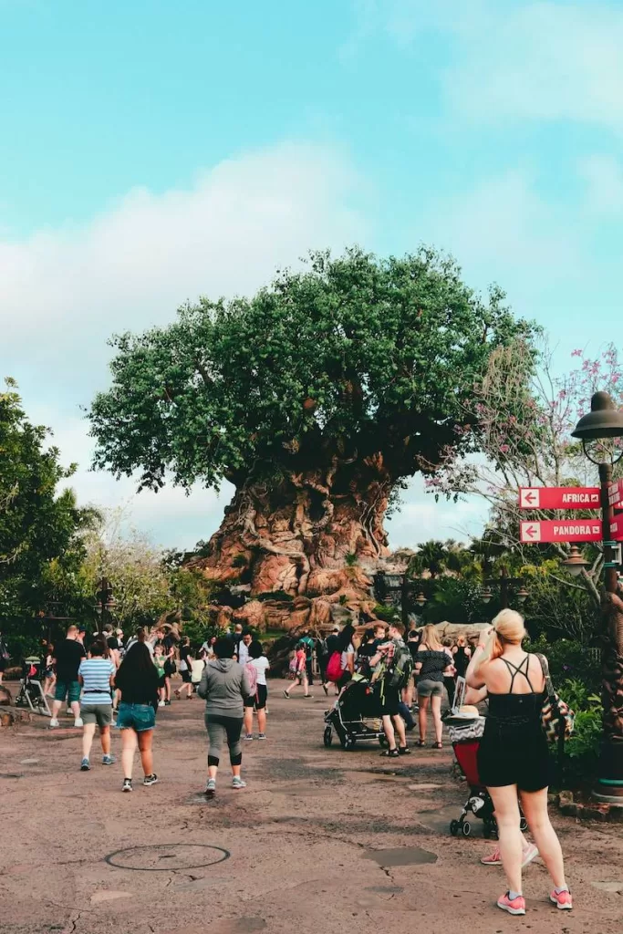 people walking on street near green trees during daytime.  Animal Kingdom Disneyworld