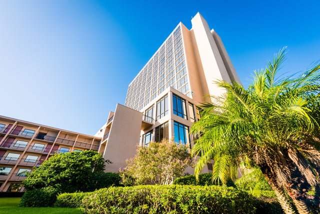 Palm trees in Florida with hotel in background