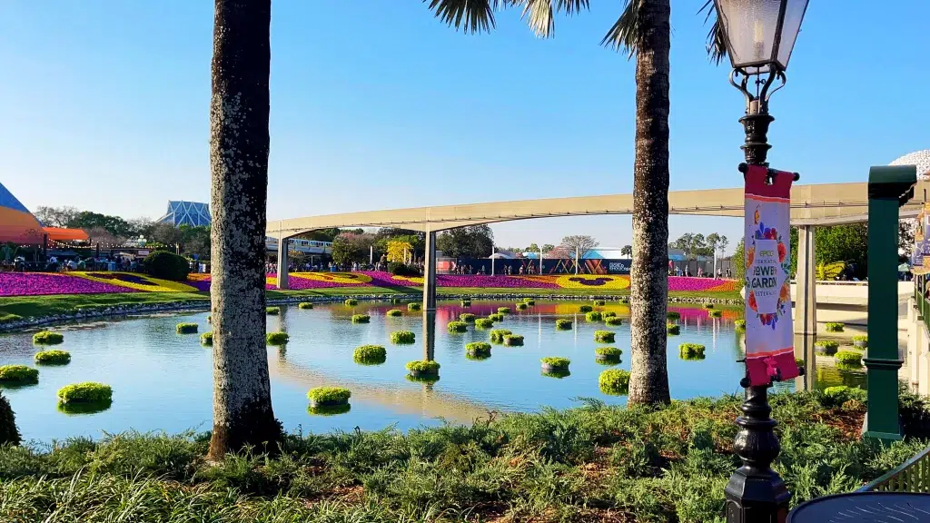 Gorgeous lake with bright flowers floating in the lake at epcot