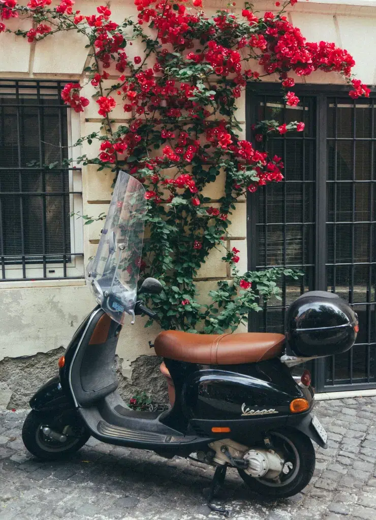 Vespa in Rome sitting on the street with pink flowers growing up a stone wall. 