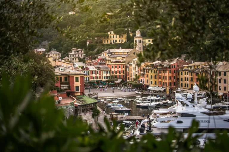 a city with many boats