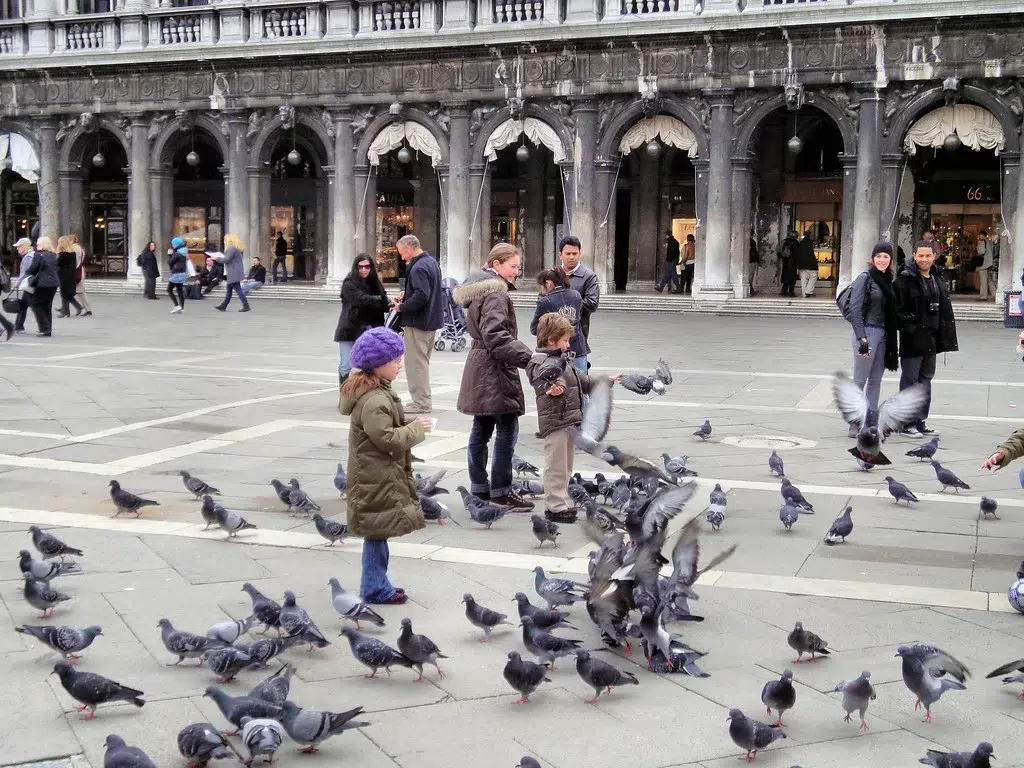 Kids in a square surrounded by pigeons in venice italy. 