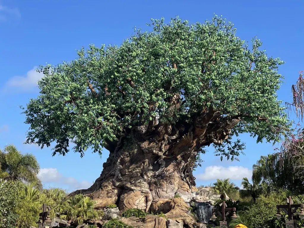 Iconic tree of life with large tree trunk and green leaves at disney's animal kingdom